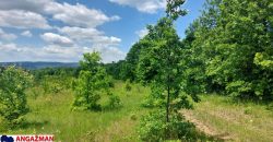 Boljevac, Rtanj – Mirovo 2ha 70ari 67kvm