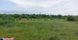 Boljevac, Rtanj – Mirovo 38,82ara