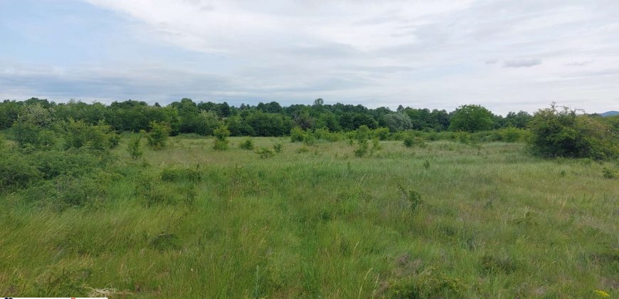 Boljevac, Rtanj – Mirovo 38,82ara