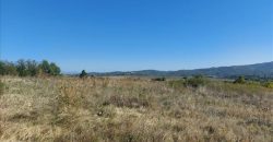 Ilino-dve parcele pov 1ha 43a 78kvm