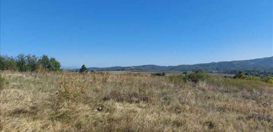 Ilino-dve parcele pov 1ha 43a 78kvm