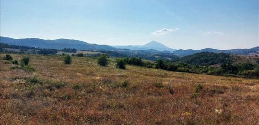 Bačevica-Lasovski del 6ha 96a 47kvm