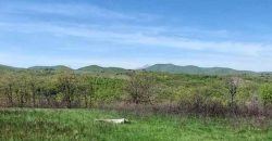 Zaječar – Lasovo 5ha 46a 76kvm