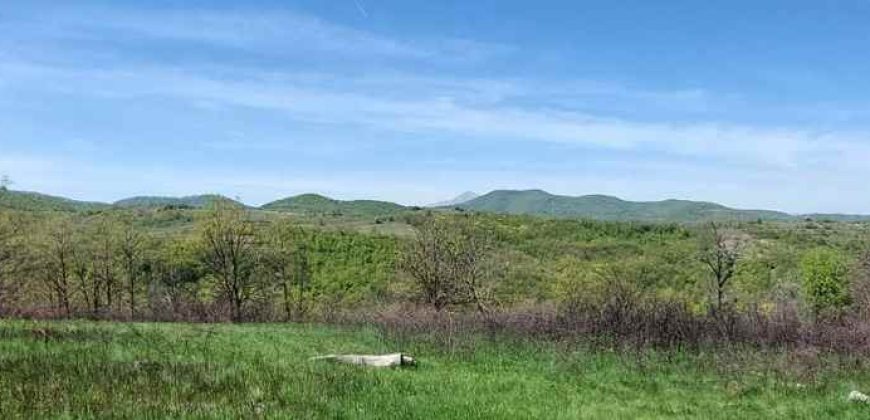 Zaječar – Lasovo 5ha 46a 76kvm