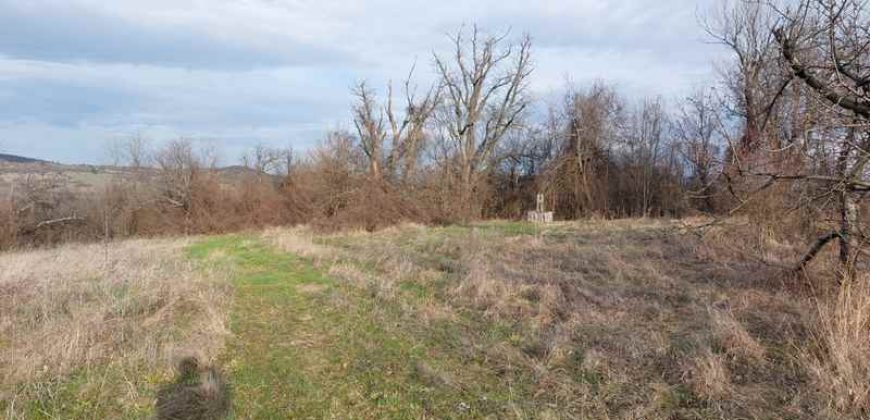 Boljevac, Rtanj – Vrbovac 4ha 42a 44kvm + 92kvm