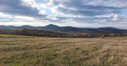 Rtanj – Bačevica 54kvm + 11ha 44a 30kvm