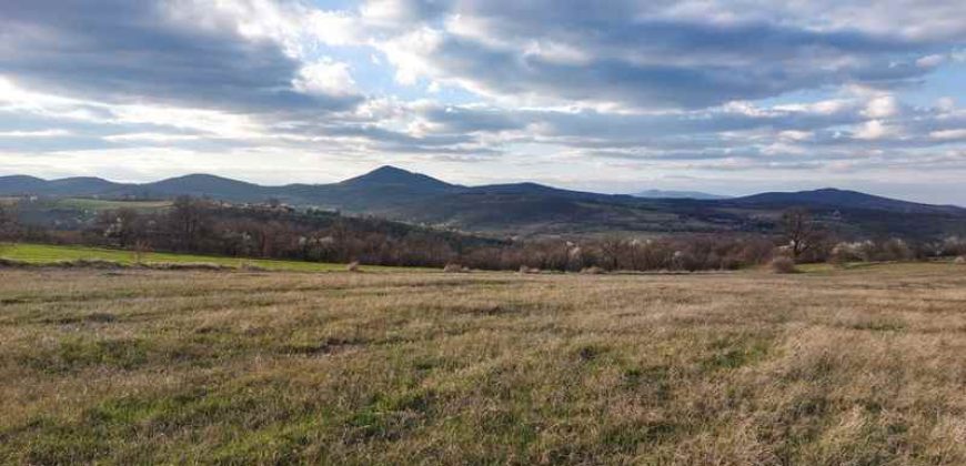 Rtanj – Bačevica 54kvm + 11ha 44a 30kvm