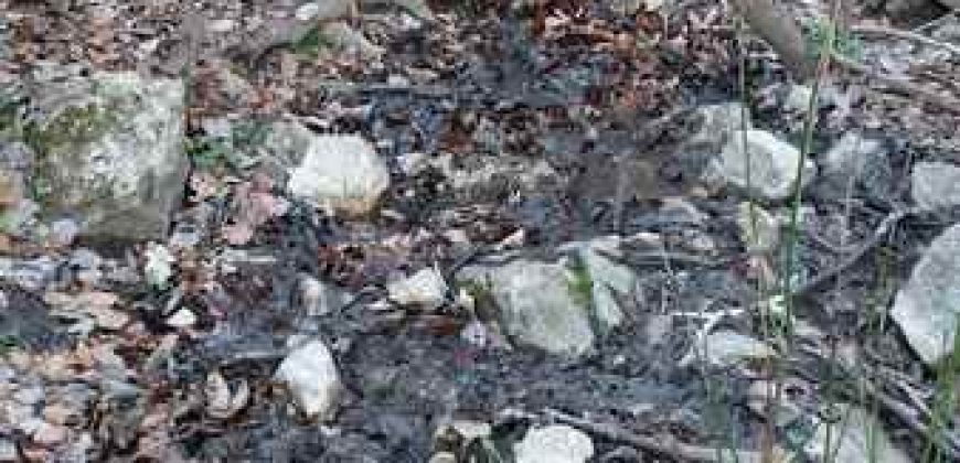 Boljevac, Rtanj – Jablanica 4ha 65a 51kvm