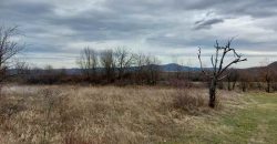 Boljevac, Rtanj – Mirovo 1ha 2a