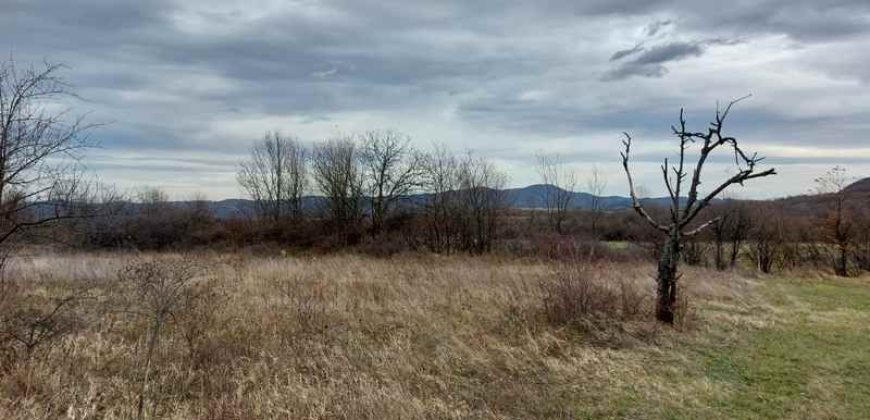 Boljevac, Rtanj – Mirovo 1ha 2a