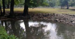 Boljevac, Rtanj – Jablanica 1ha 28ari i 82kvm