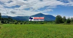 Boljevac, Rtanj – Ilino (68+26+22) + 3ha 3a 40kvm