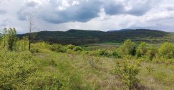 Zaječar – Gornja bela reka 31kvm-1ha 44a 11kvm