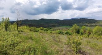 Zaječar – Gornja bela reka 31kvm-1ha 44a 11kvm