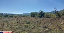 Rtanj-Ilino 44a 10kvm