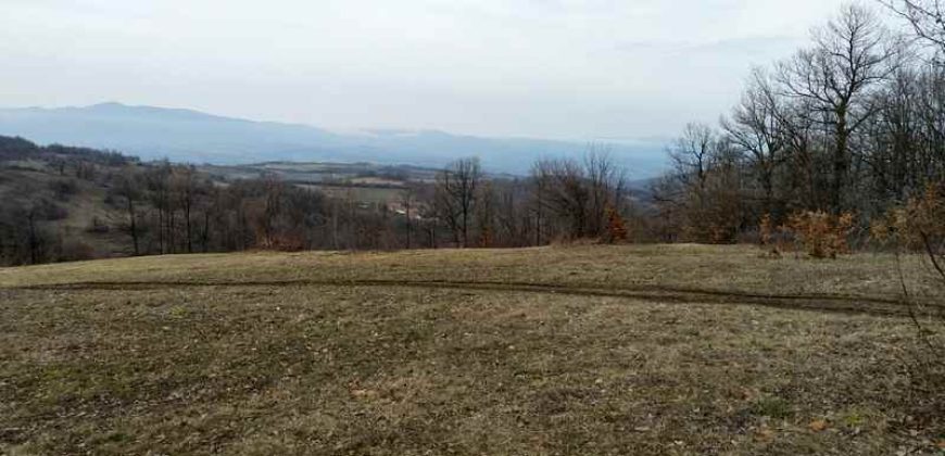 Boljevac, Valakonje – Bukovo 407,53ari