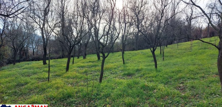 Rtanj – Jablanica 10a+42kvm stara kuća