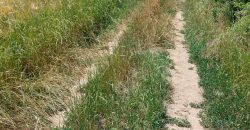 Barajevo – Veliki borak 1ha 60ari 52kvm