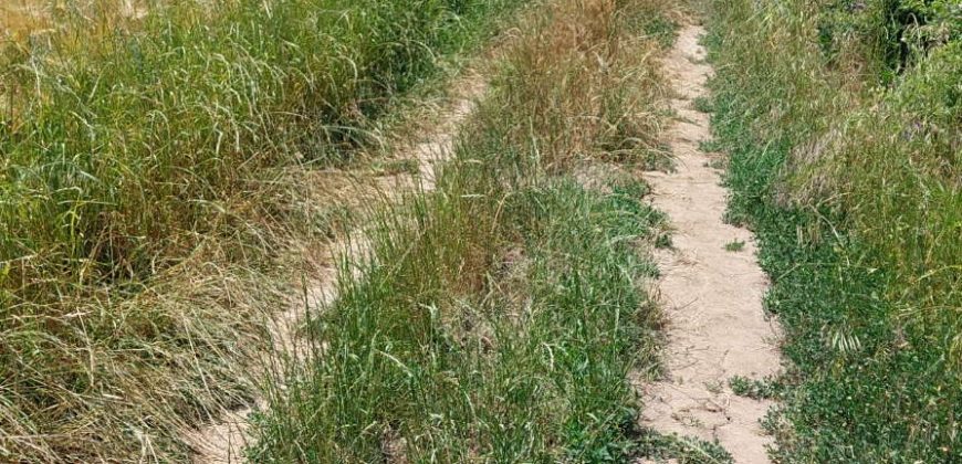 Barajevo – Veliki borak 1ha 60ari 52kvm