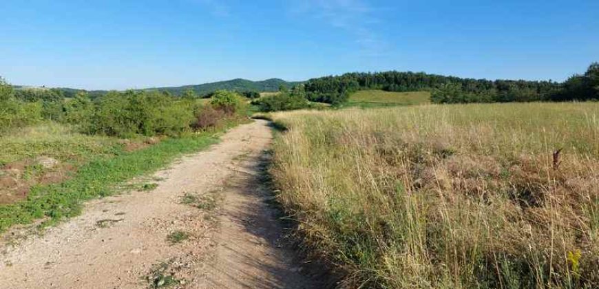 Boljevac, Rtanj – Valakonje 1ha 3a 35kvm