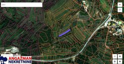 Boljevac, Rtanj – Mirovo 17,78ari