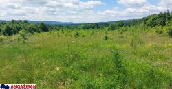 Boljevac, Rtanj – Mirovo 2ha 70ari 67kvm