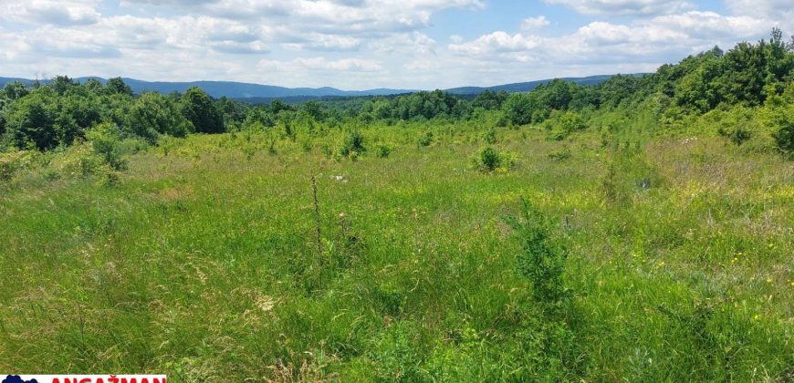 Boljevac, Rtanj – Mirovo 2ha 70ari 67kvm