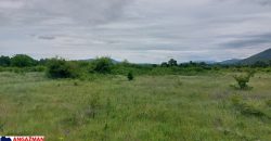 Boljevac, Rtanj – Mirovo 38,82ara