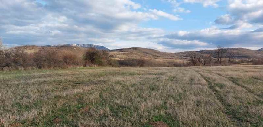 Rtanj – Bačevica 54kvm + 11ha 44a 30kvm