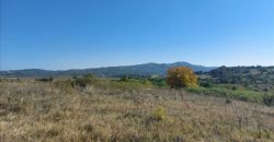 Ilino-dve parcele pov 1ha 43a 78kvm