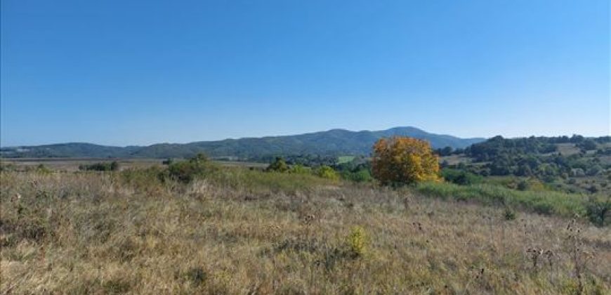 Ilino-dve parcele pov 1ha 43a 78kvm