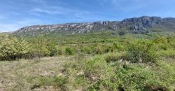 Zaječar – Lasovo 5ha 46a 76kvm