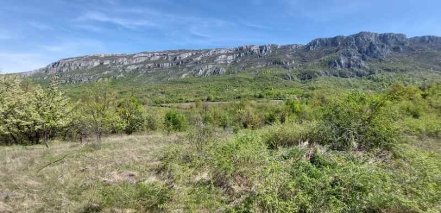 Zaječar – Lasovo 5ha 46a 76kvm