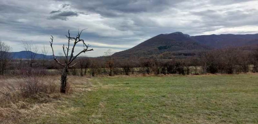 Boljevac, Rtanj – Mirovo 1ha 2a