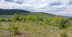 Zaječar – Gornja bela reka 31kvm-1ha 44a 11kvm