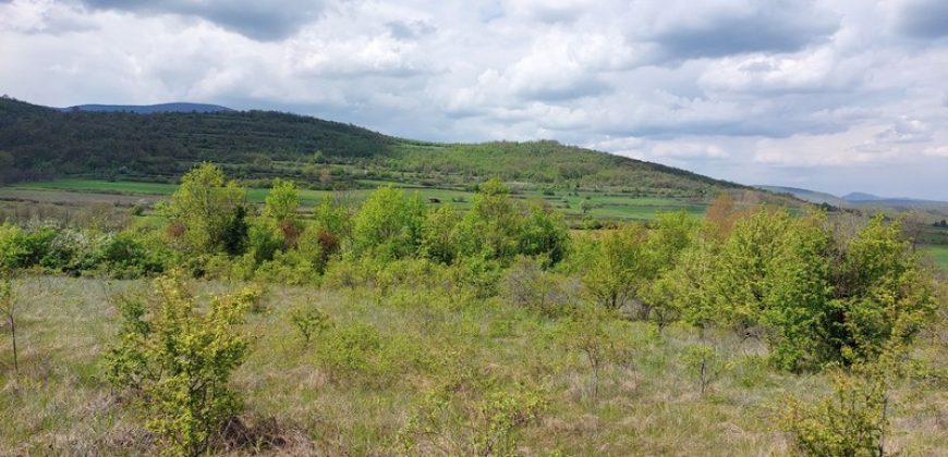 Zaječar – Gornja bela reka 31kvm-1ha 44a 11kvm