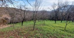 Rtanj – Jablanica 10a+42kvm stara kuća