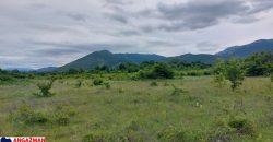 Boljevac, Rtanj – Mirovo 38,82ara