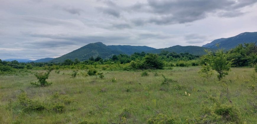 Boljevac, Rtanj – Mirovo 38,82ara