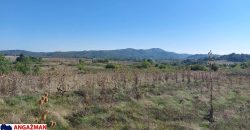 Rtanj-Ilino 44a 10kvm