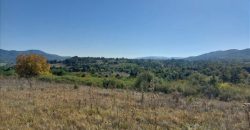 Ilino-dve parcele pov 1ha 43a 78kvm