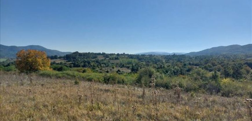 Ilino-dve parcele pov 1ha 43a 78kvm