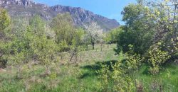 Zaječar – Lasovo 5ha 46a 76kvm