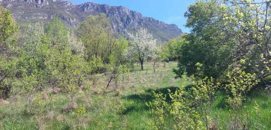 Zaječar – Lasovo 5ha 46a 76kvm