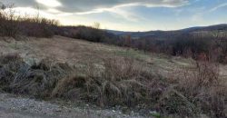 Boljevac, Rtanj – Vrbovac 4ha 42a 44kvm + 92kvm