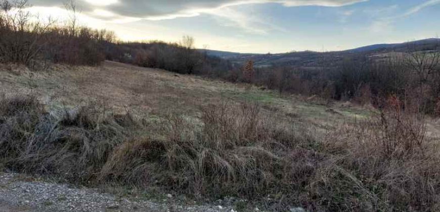 Boljevac, Rtanj – Vrbovac 4ha 42a 44kvm + 92kvm