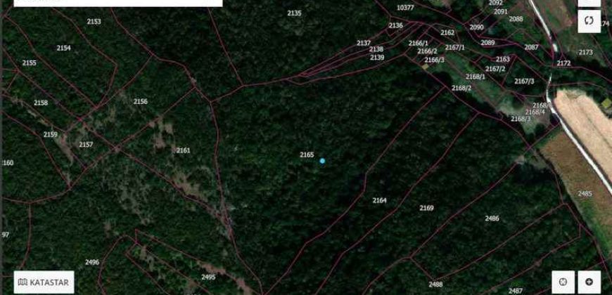 Boljevac, Rtanj – Jablanica 4ha 65a 51kvm