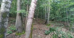 Boljevac, Rtanj – Jablanica 1ha 28ari i 82kvm