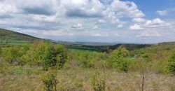 Zaječar – Gornja bela reka 31kvm-1ha 44a 11kvm