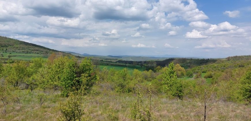 Zaječar – Gornja bela reka 31kvm-1ha 44a 11kvm